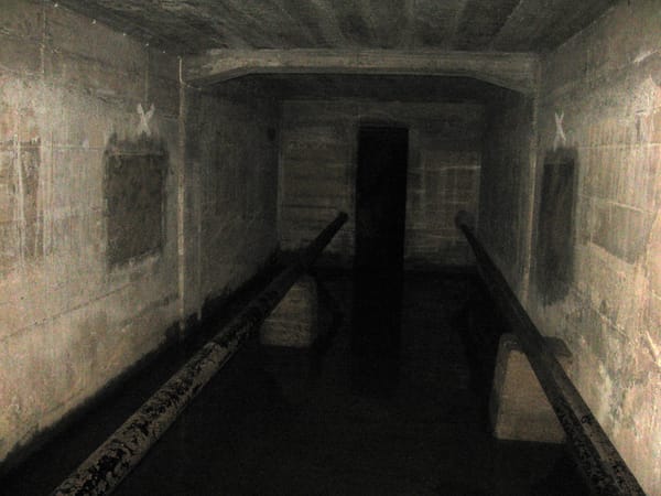 Short Story Spotlight: Betty's Basement