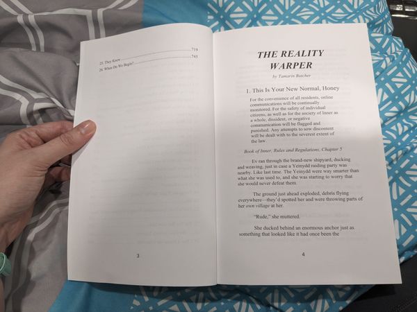 The Reality Warper: Opening Pages